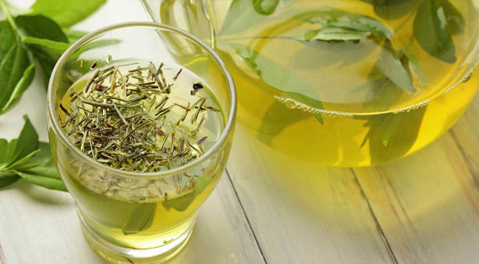 What is Green Tea? A Comprehensive Tea Profile