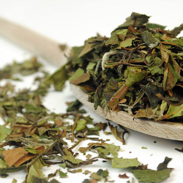 Pai Mui Tan Organic White Tea by True Tea Company a white tea which is organic . known as pai mui tan or white peony