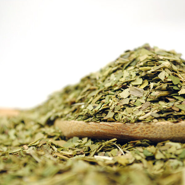 Brazilian Yerba Mate by True Tea Company A yerba mate tea with a green color.