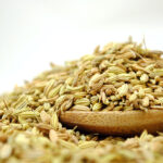 herbal fennel seeds