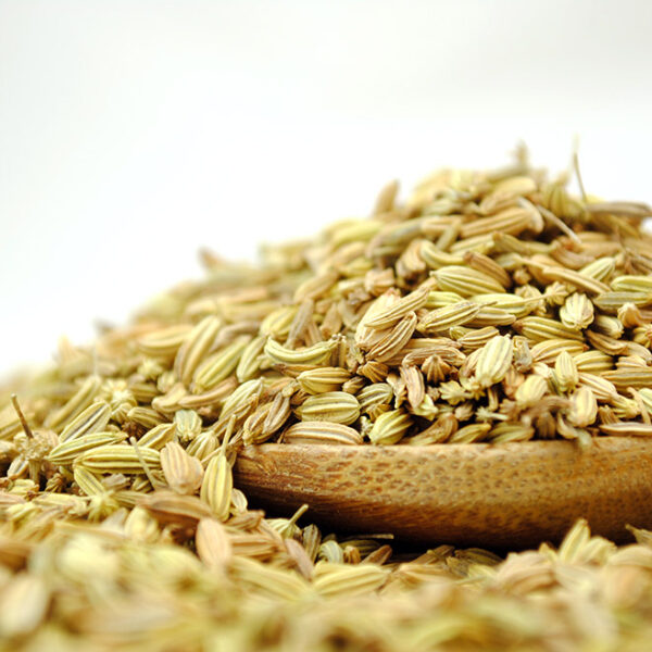 Natural Fennel Seeds by True Tea Company herbal fennel seeds