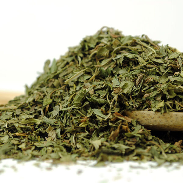 Nana Mint Herbal Tea by True Tea Company Moroccan Mint Herbal Tea
