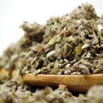 Natural Sage Leaves