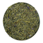 kombucha plum