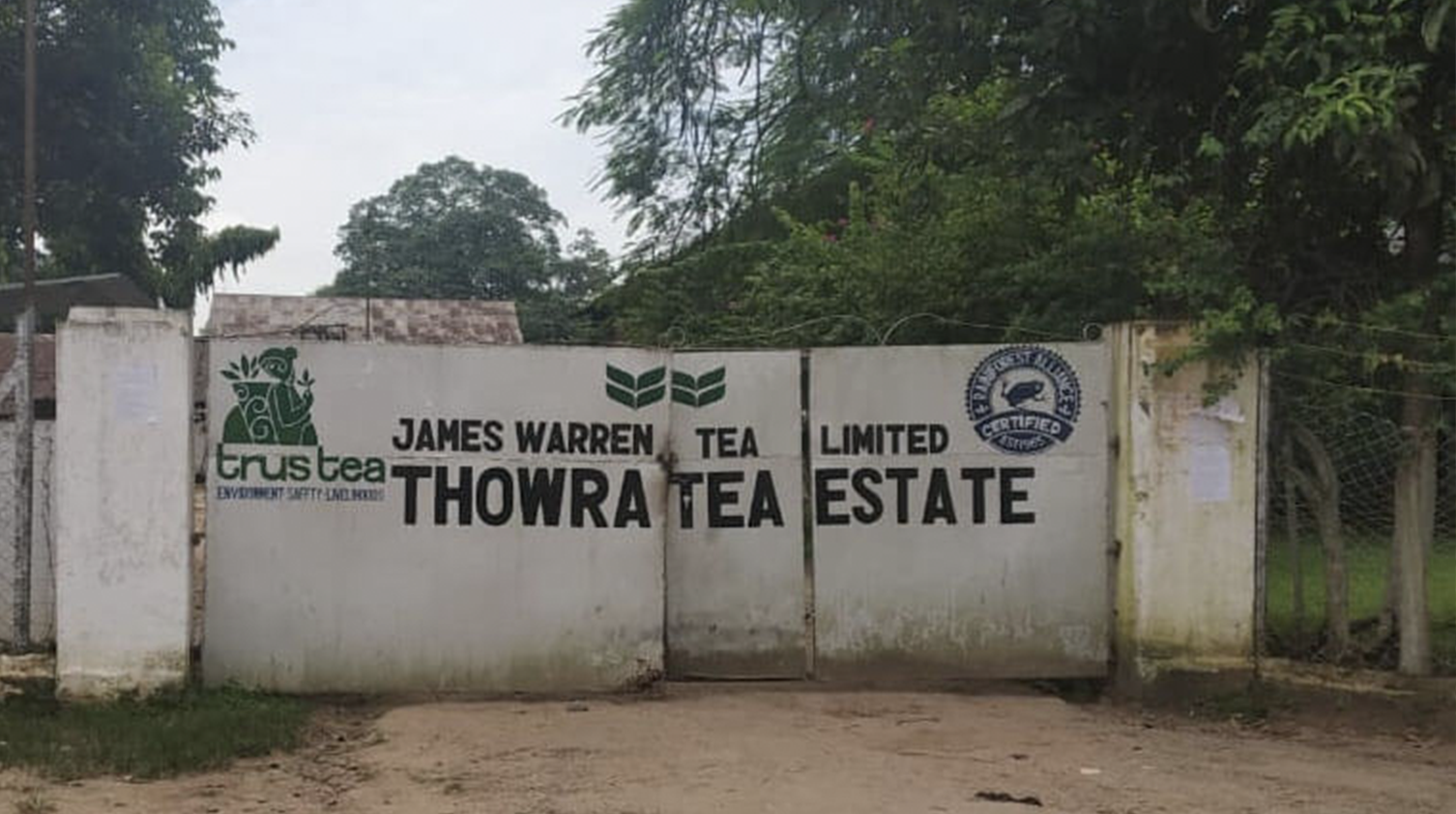 The gates of assam thowra tea estate