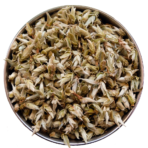 Silver Bud Ya Bao White Tea