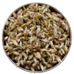 Silver Bud Ya Bao White Tea