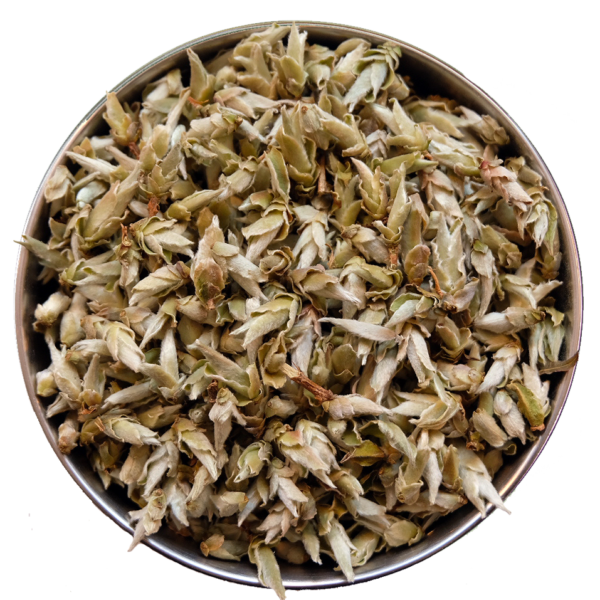 Silver Bud Ya Bao White Tea