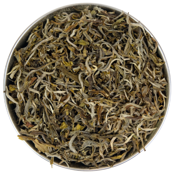 Snow Buds White Tea Leaves