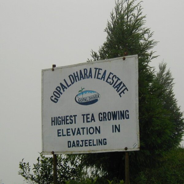 Gopaldhara Tea Estate Darjeeling Gopaldhara Loose Leaf Tea