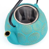 cast iron teapot with infuser and handle