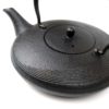 Enamel Coated Japanese Teapot