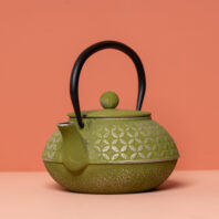 JiJI S Cast Iron Teapot