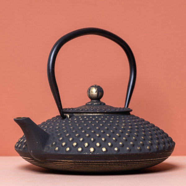 "Nario" Cast Iron Teapot - Black/Gold (1.2 Litre)